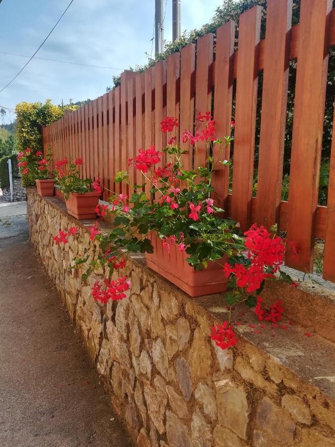 La Fontanella Apartment Polverara Zewnętrze zdjęcie